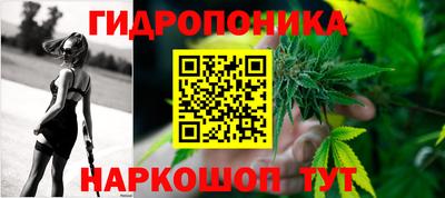 прущие крисы Будённовск
