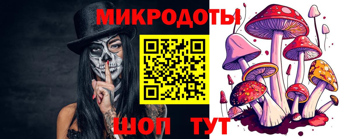 Мурманск  Галлюциногенные грибы GOLDEN TEACHER  Вход с VPN  Галлюциногенные грибы GOLDEN TEACHER 