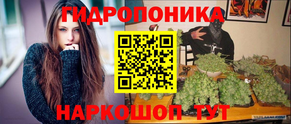 Конопля марихуана Мурманск